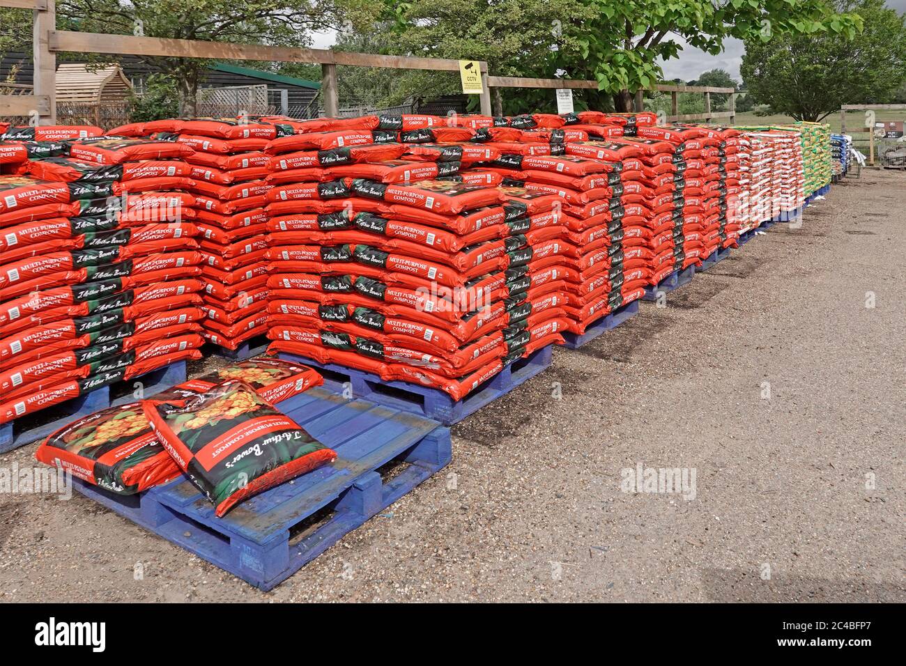 Sacchetti da 60 litri polivalenti composto da giardino in rosso sacchetto di plastica su pallet di legno blu in vendita e acquisto Self-service Garden Centre Essex Inghilterra UK Foto Stock
