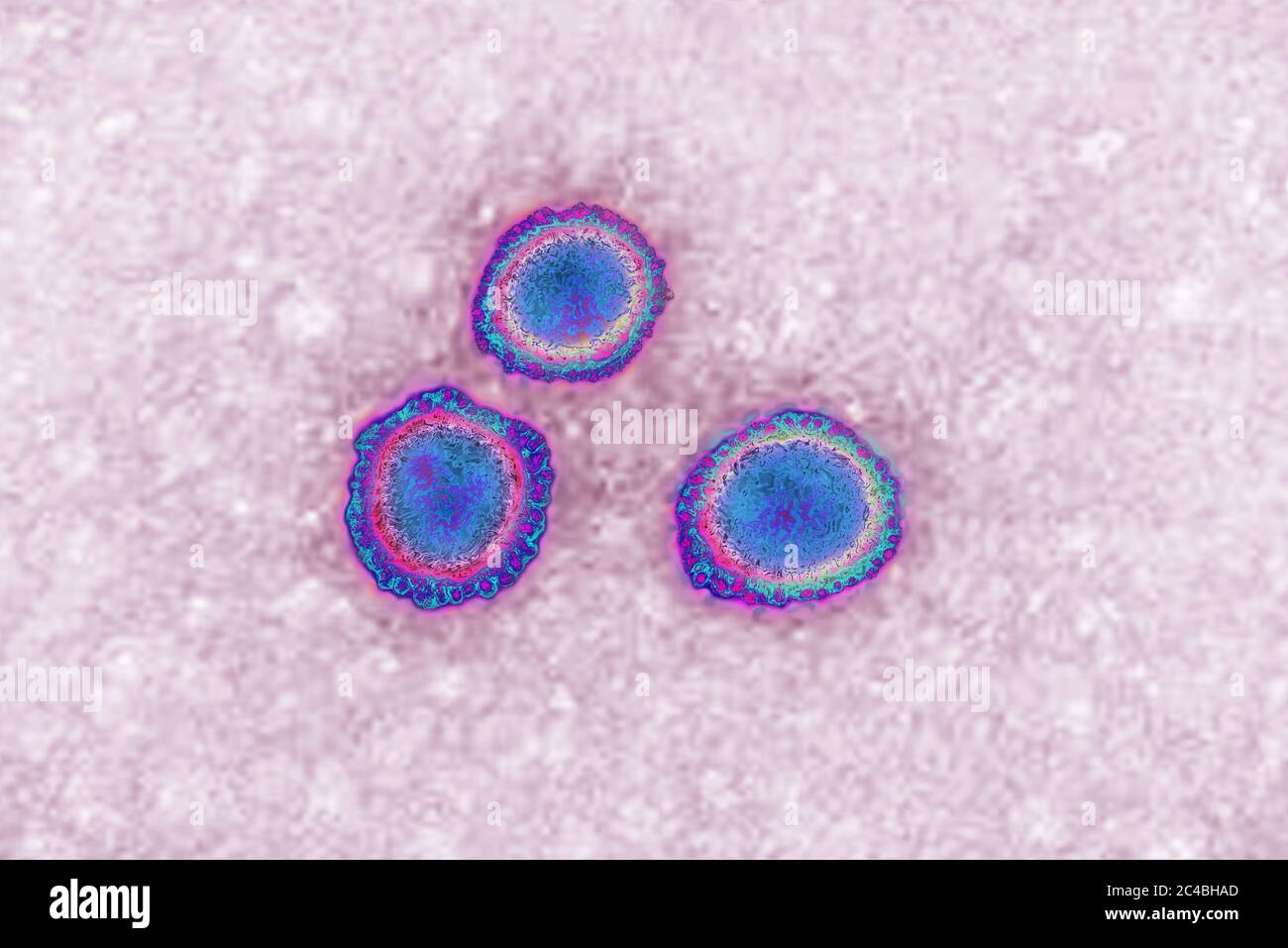 Coronavirus Foto Stock