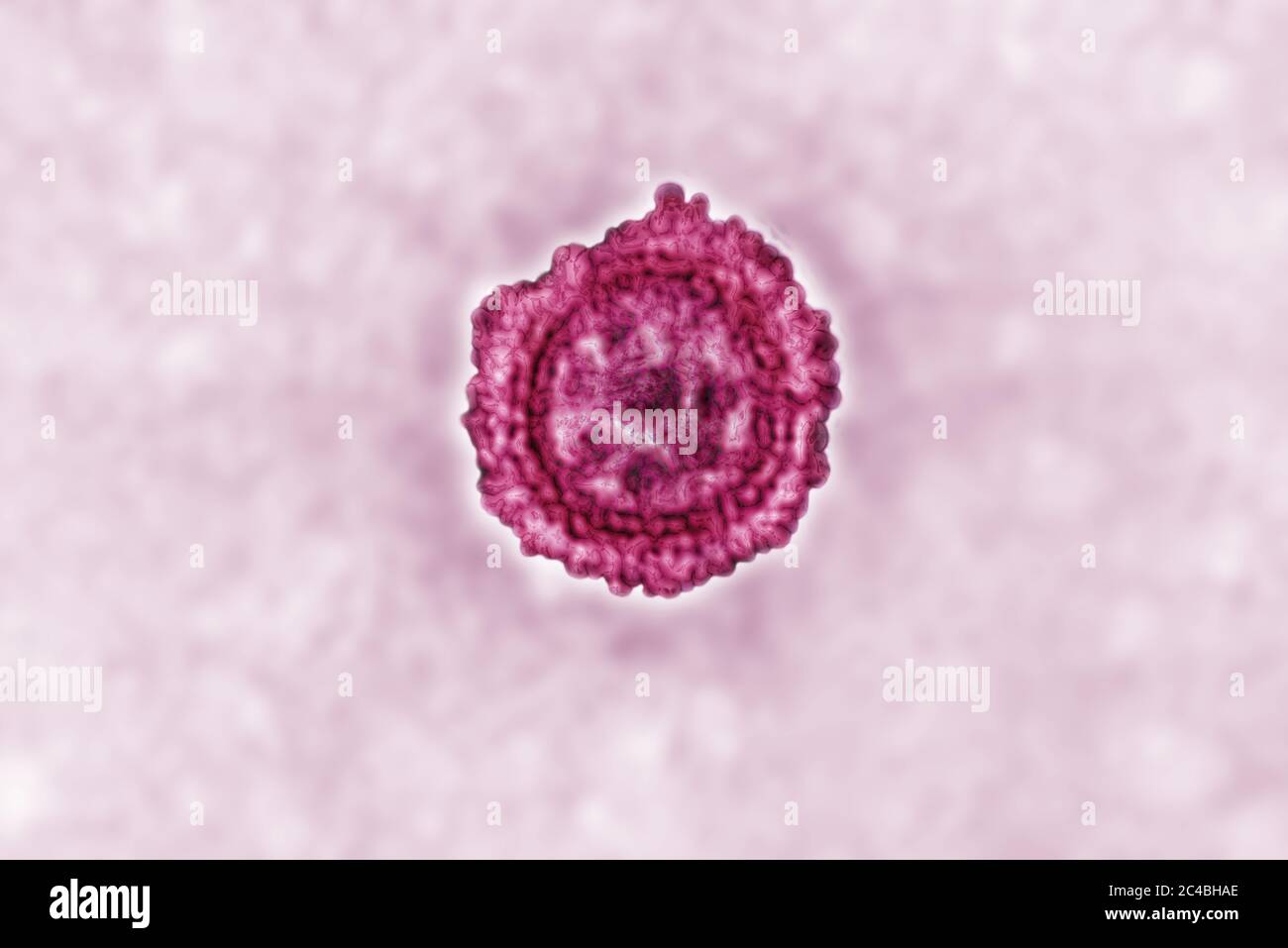 Coronavirus Foto Stock