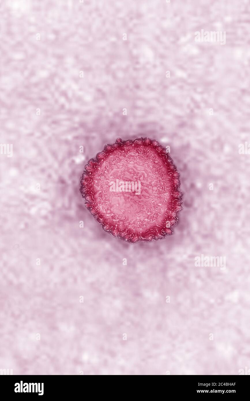 Coronavirus Foto Stock