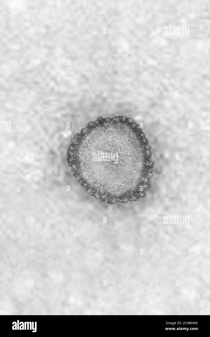 Coronavirus Foto Stock