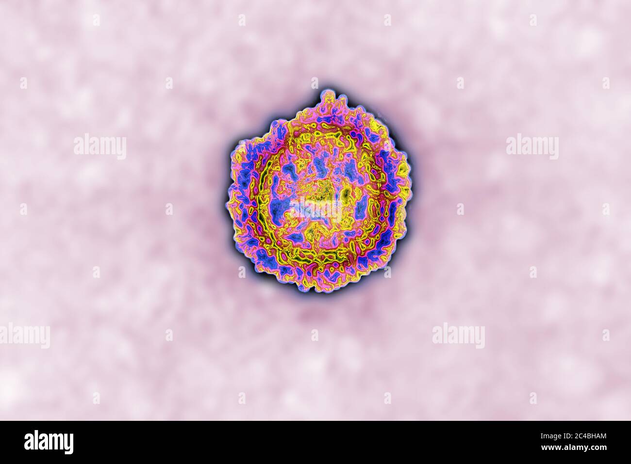 Coronavirus Foto Stock