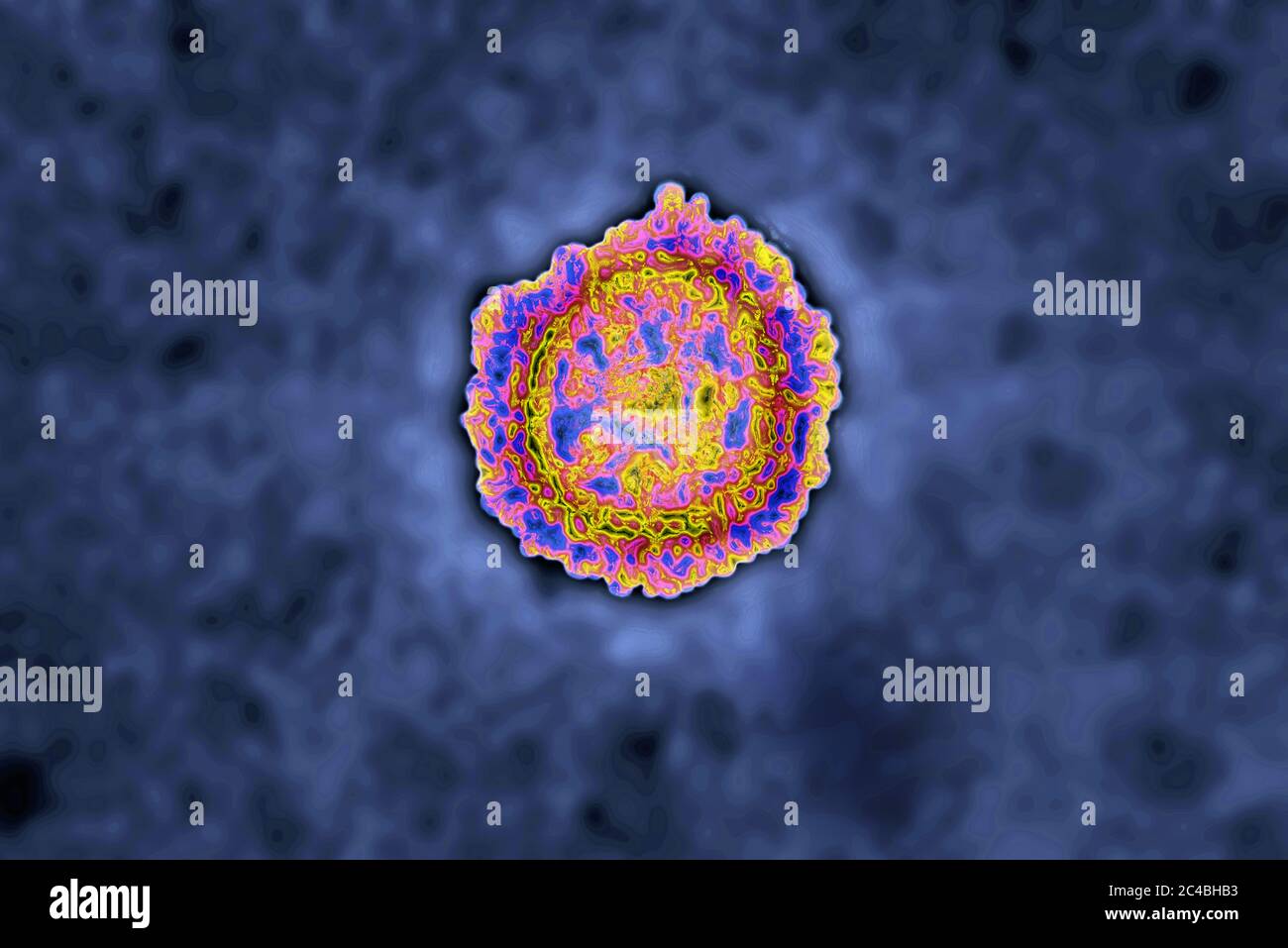 Coronavirus Foto Stock