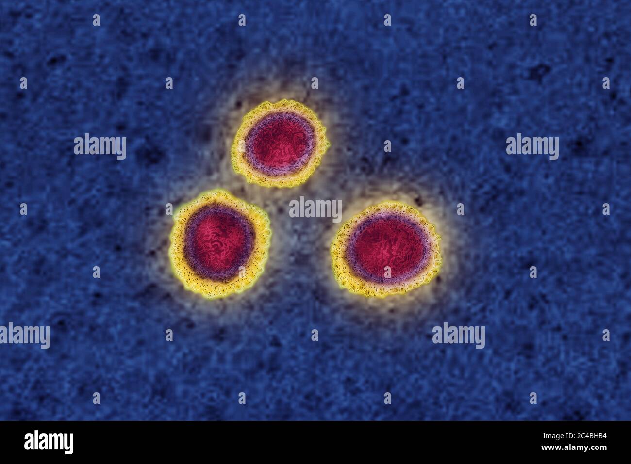 Coronavirus Foto Stock