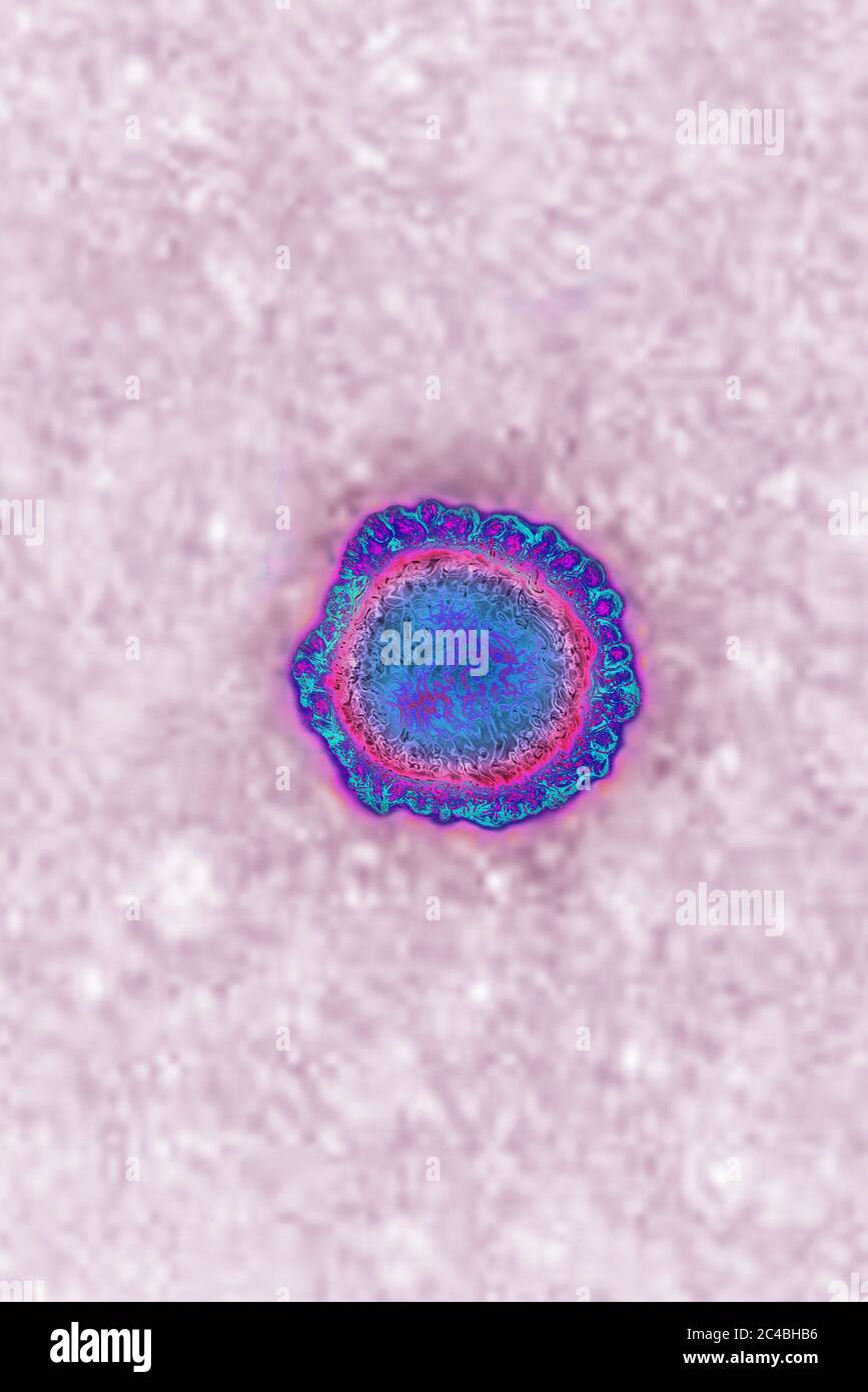 Coronavirus Foto Stock