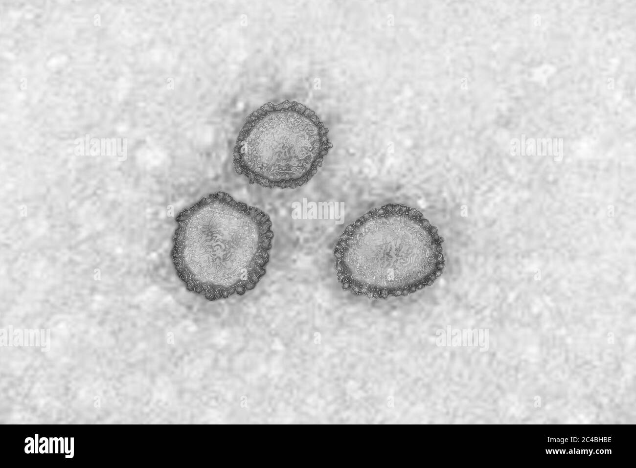 Coronavirus Foto Stock