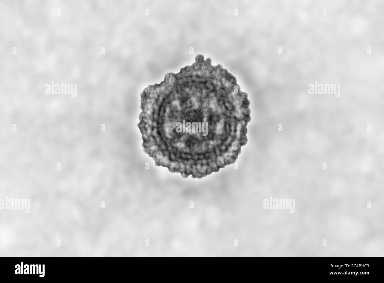 Coronavirus Foto Stock