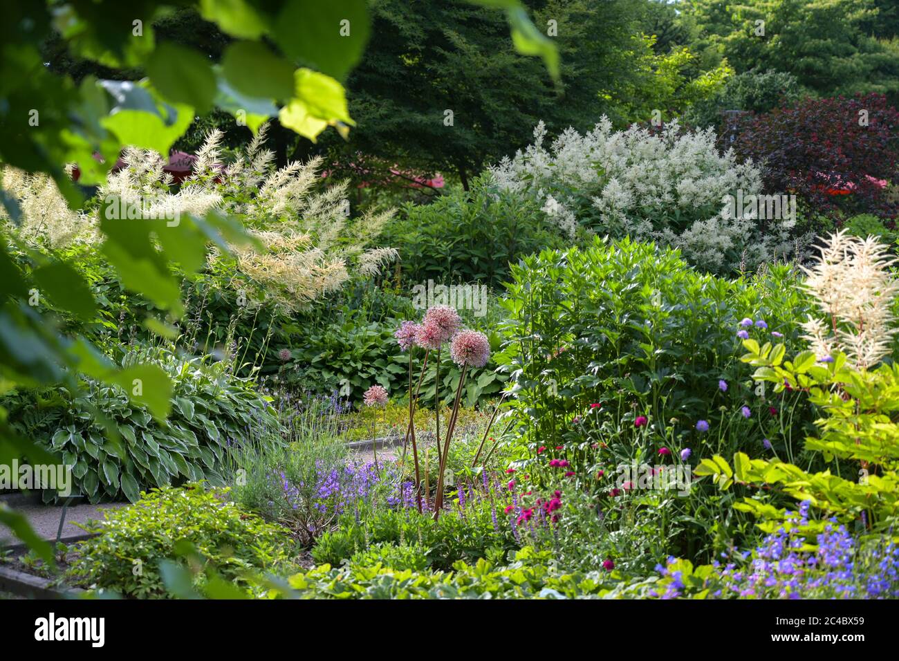 Confini misti in un parco pubblico con giardino con piante perenni per soleggiate e ombreggiate, fuoco selezionato, profondità di campo stretta Foto Stock