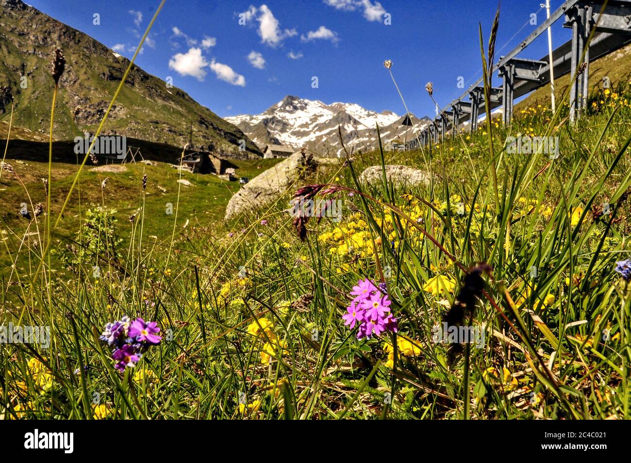 Valchiavenna Foto Stock