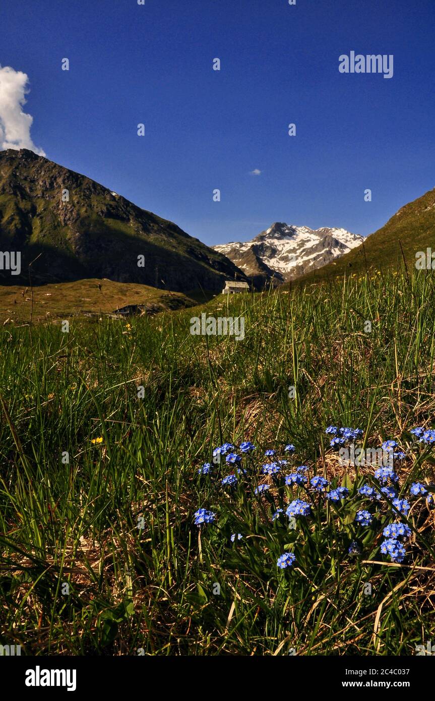 Valchiavenna Foto Stock