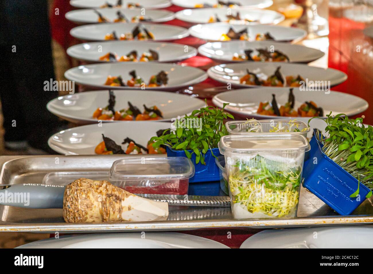 Piatti di un antipasto con rafano sono disposti in lunghe file pronti per essere serviti nell'Hotel e Ristorante Kronenschlösschen a Hattenheim, Eltville am Rhein, Assia, Germania. I piatti contengono fette di pesce crudo (forse salmone), pomodorini gialli e patatine croccanti scure. Una radice di rafano giace su una grattuggiatrice Microplane in primo piano. Crescione in casse blu e lattuga frisée in contenitori di plastica sono disposti accanto. L'antipasto fa parte del pranzo "Lago di Garda & Rheingau" (Lago di Garda & Rheingau) dello chef stellato Michelin Giuseppe Sestito (Hotel Lido Palace, Riva del Garda, Italia) il 25 febbraio 2017. Il Foto Stock