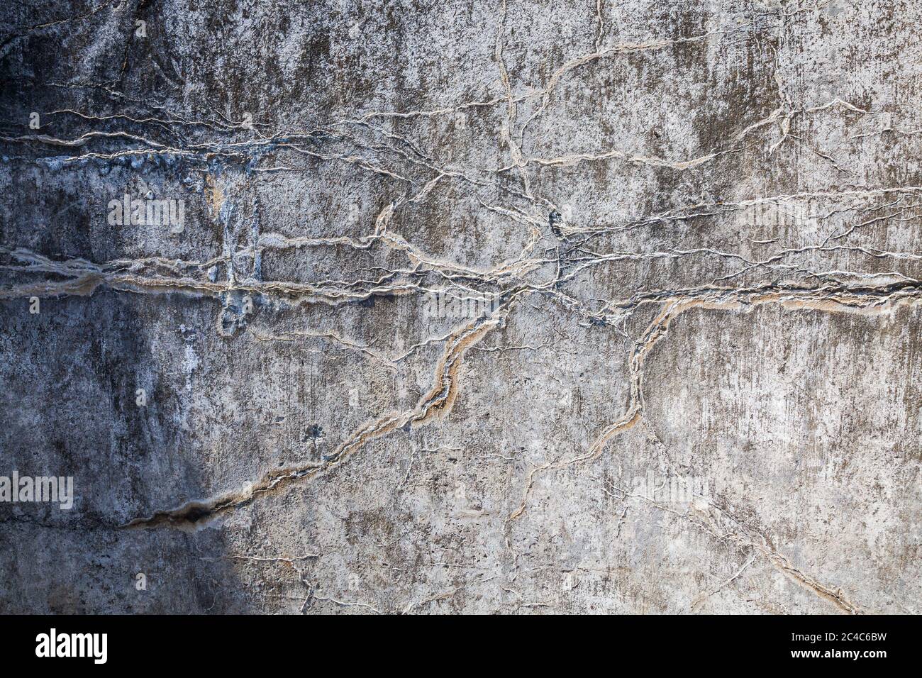 Un dettaglio di una delle mura in deterioramento a Fort Casey sull'isola di Whidbey, Washington, USA. Foto Stock