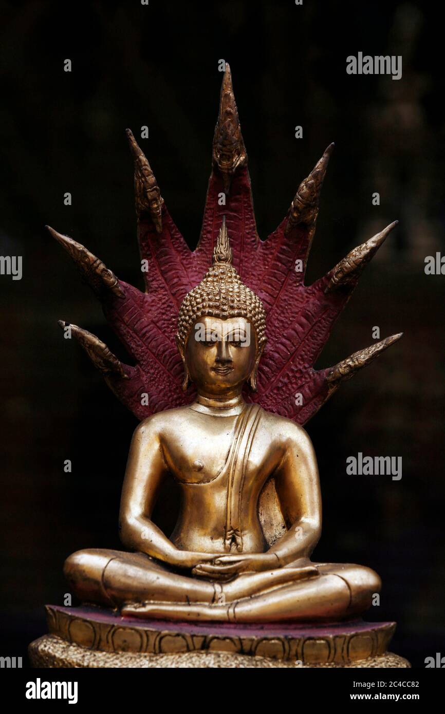 Chiang mai, Thailandia. 19 Nov 2009. Una vista da vicino di una statua del Buddha al tempio Phra Tat Doi Suthep, il luogo sacro di culto buddista trovato sulla cima del monte Doi Suthep nella città settentrionale della Thailandia di Chiang mai, fondata nel 1386. Credit: Paul Lakatos/SOPA Images/ZUMA Wire/Alamy Live News Foto Stock
