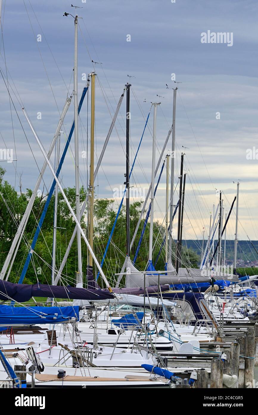 Illmitz, Burgenland, Austria. Sito patrimonio dell'umanità dell'UNESCO, Neusiedler vedere il paesaggio culturale. Foto Stock
