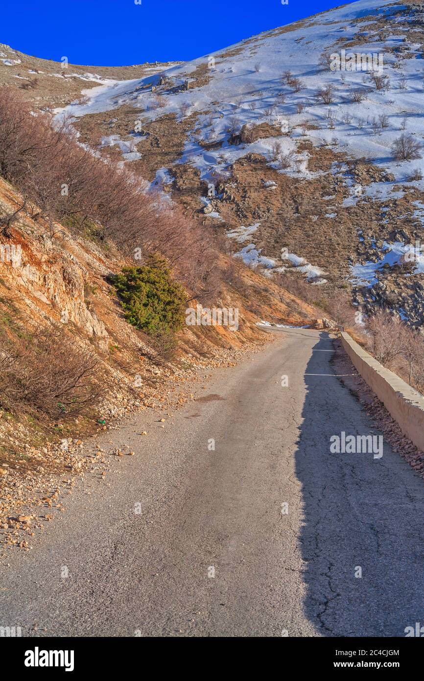 Al Shouf Cedar Riserva Naturale, vicino Maaser esh-Shouf, Libano montagne, Chouf District, Libano Foto Stock