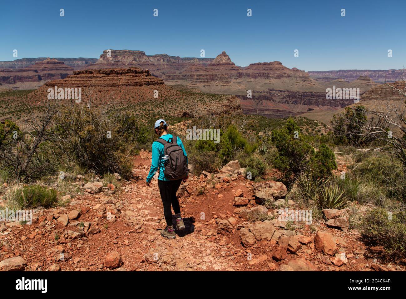 Il Grand Canyon, una delle sette meraviglie naturali del mondo. Foto Stock