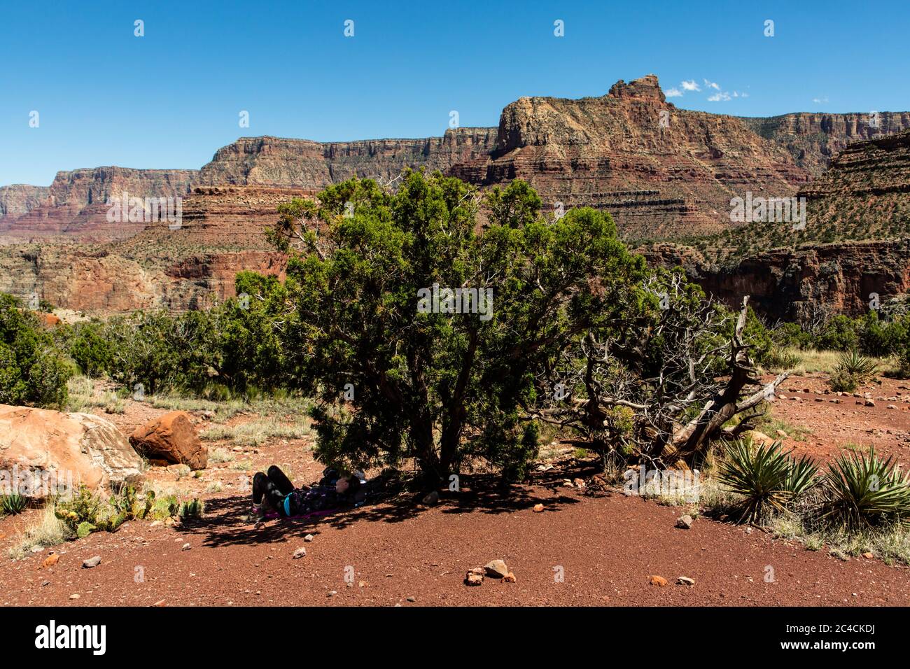 Il Grand Canyon, una delle sette meraviglie naturali del mondo. Foto Stock