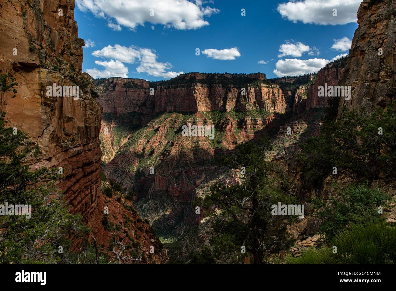 Il Grand Canyon, una delle sette meraviglie naturali del mondo. Foto Stock