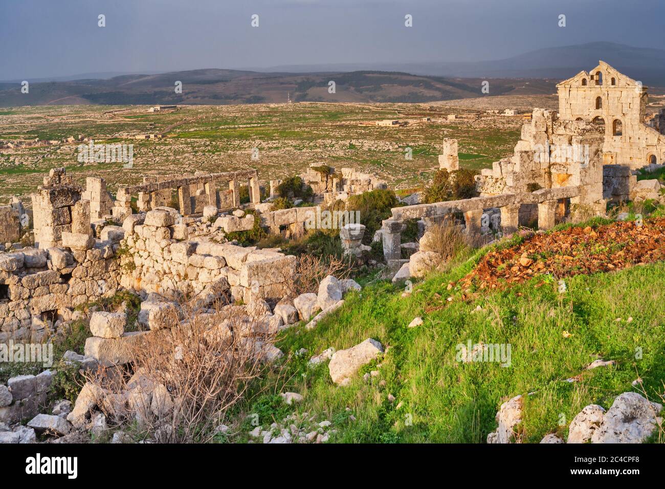 Rovine bizantine, Basilica, Baqirha, Siria Foto Stock