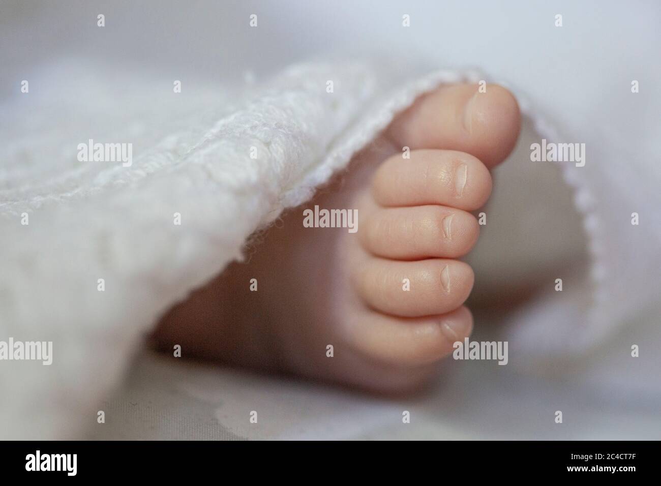 Primo piano di un piede destro di un bambino neonato che appare da una coperta bianca. Foto di Sam Mellish Foto Stock