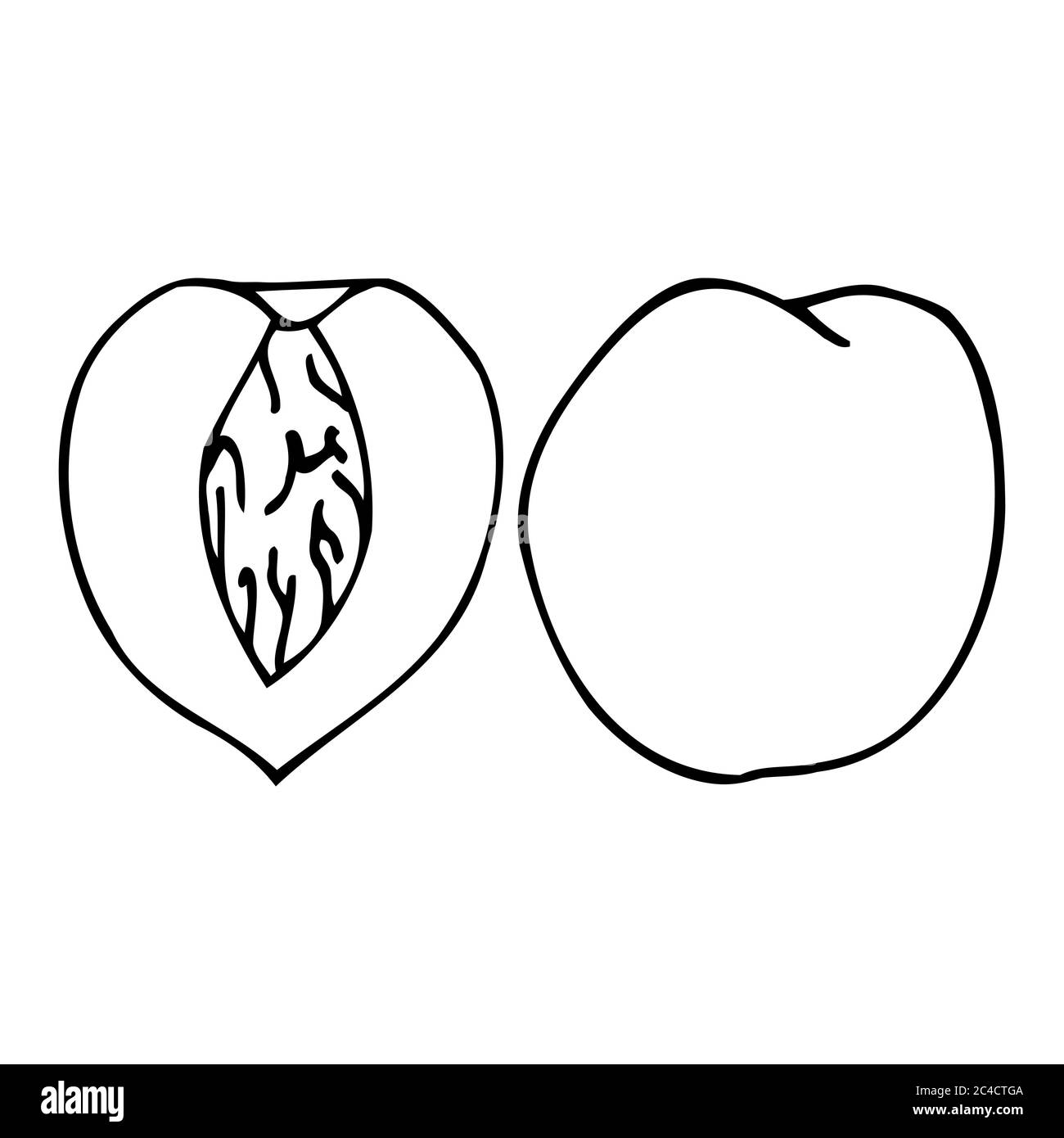 Pesca con nocciolo. Icona a forma di dodle disegnata a mano. Isolamento trasparente su sfondo bianco. Illustrazione vettoriale per biglietti d'auguri, poster, patch Illustrazione Vettoriale