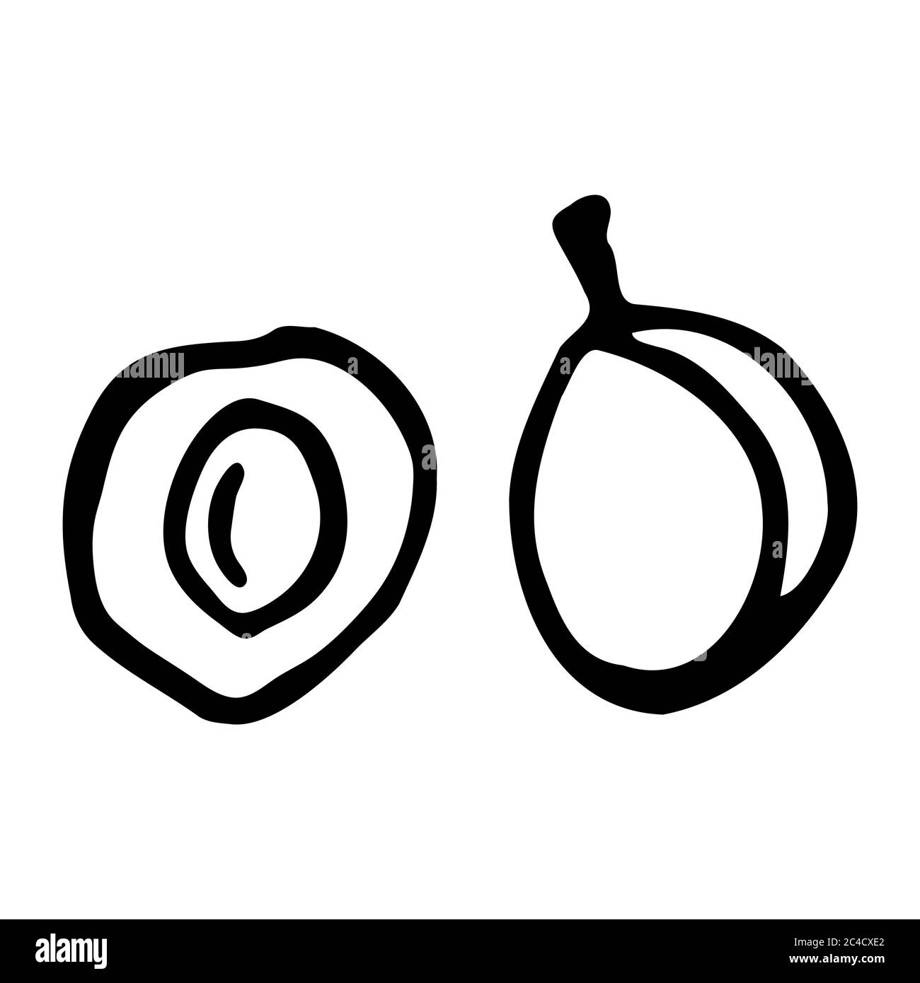 Prugna con nocciolo. Icona a forma di dodle disegnata a mano. Isolamento trasparente su sfondo bianco. Illustrazione vettoriale per biglietti d'auguri, poster, patch Illustrazione Vettoriale