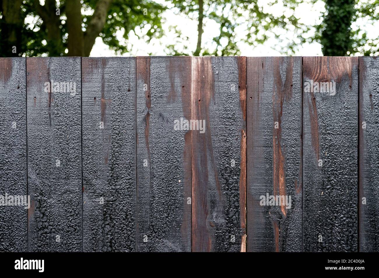 Recinzione in legno pannellata recentemente installata e con creosoto vista all'interno di un giardino. Foto Stock