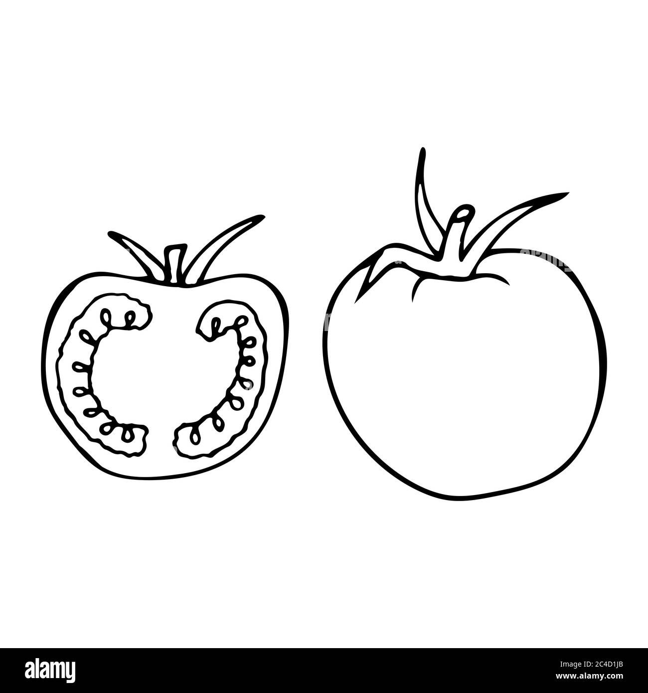 Pomodoro con gambo e foglia. Icona a forma di dodle disegnata a mano. Isolamento trasparente su sfondo bianco. Illustrazione vettoriale per biglietti d'auguri, poster Illustrazione Vettoriale