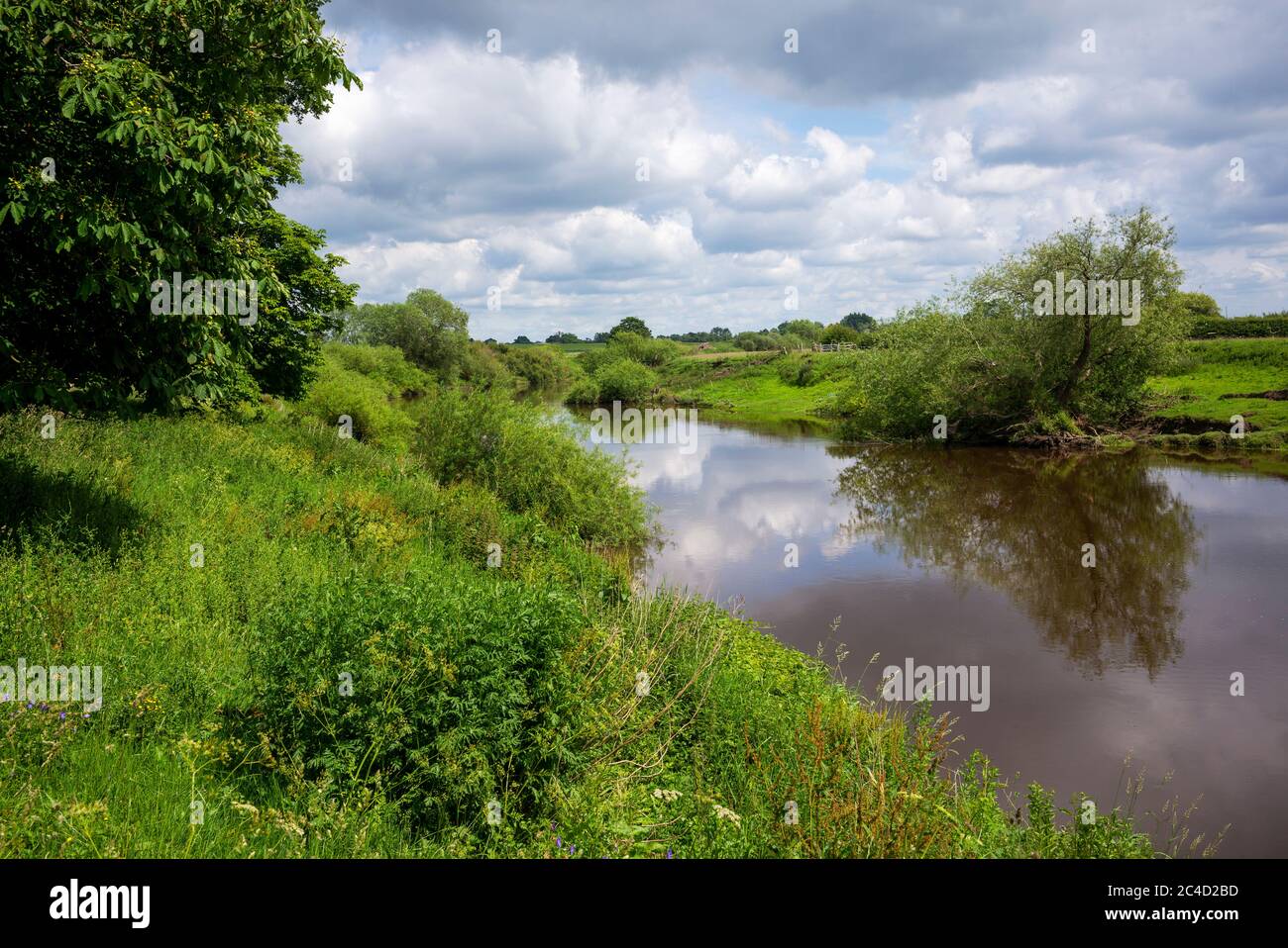 Il fiume Ouse a sud di Beningbrough Hall, North Yorkshire, Regno Unito Foto Stock