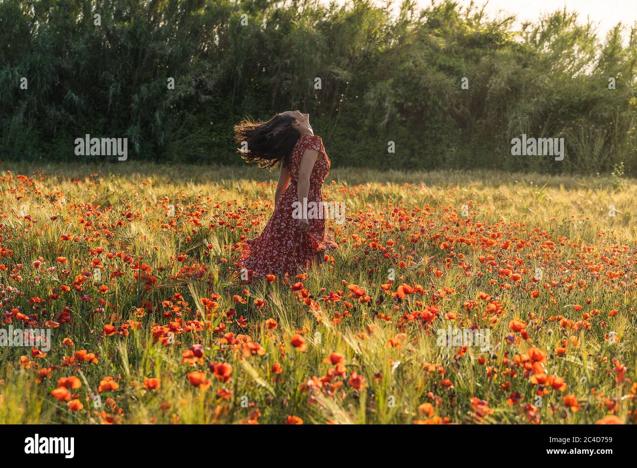 Giovane donna di brunetta in un vestito rosso con stampe che corrono con i capelli nel vento nel mezzo di un campo di papavero circondato da una foresta Foto Stock