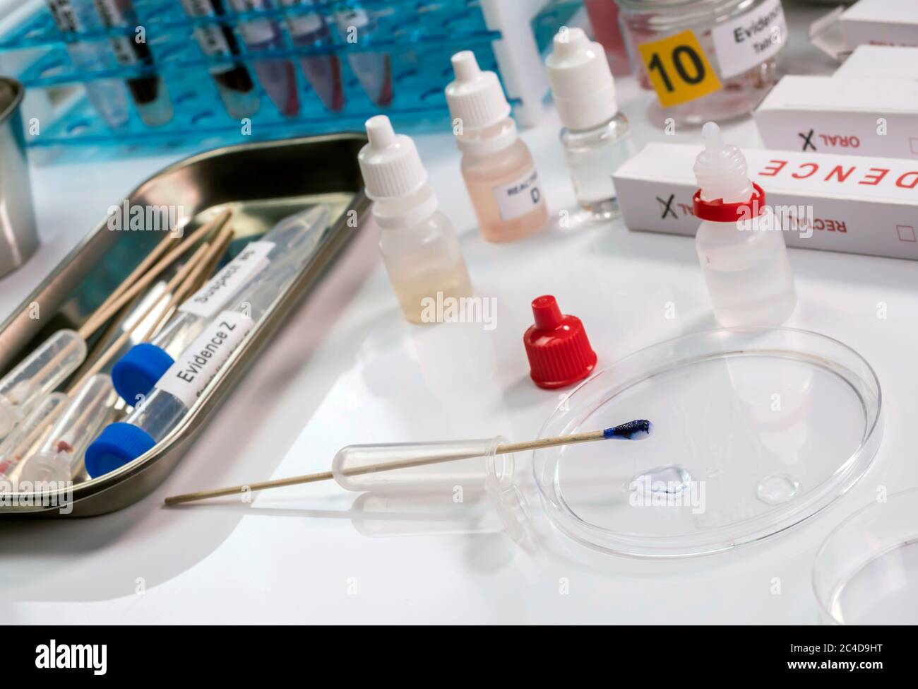 Analisi ematologica con kit di test forensi in un omicidio in un laboratorio di criminalità, immagine concettuale Foto Stock