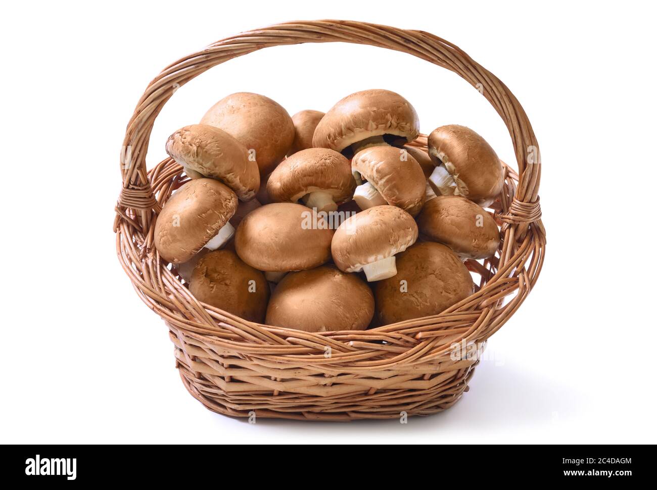 Cestino pieno di funghi freschi crudi champignon pronti per essere preparati per un pasto sano e delizioso, studio isolato su bianco Foto Stock