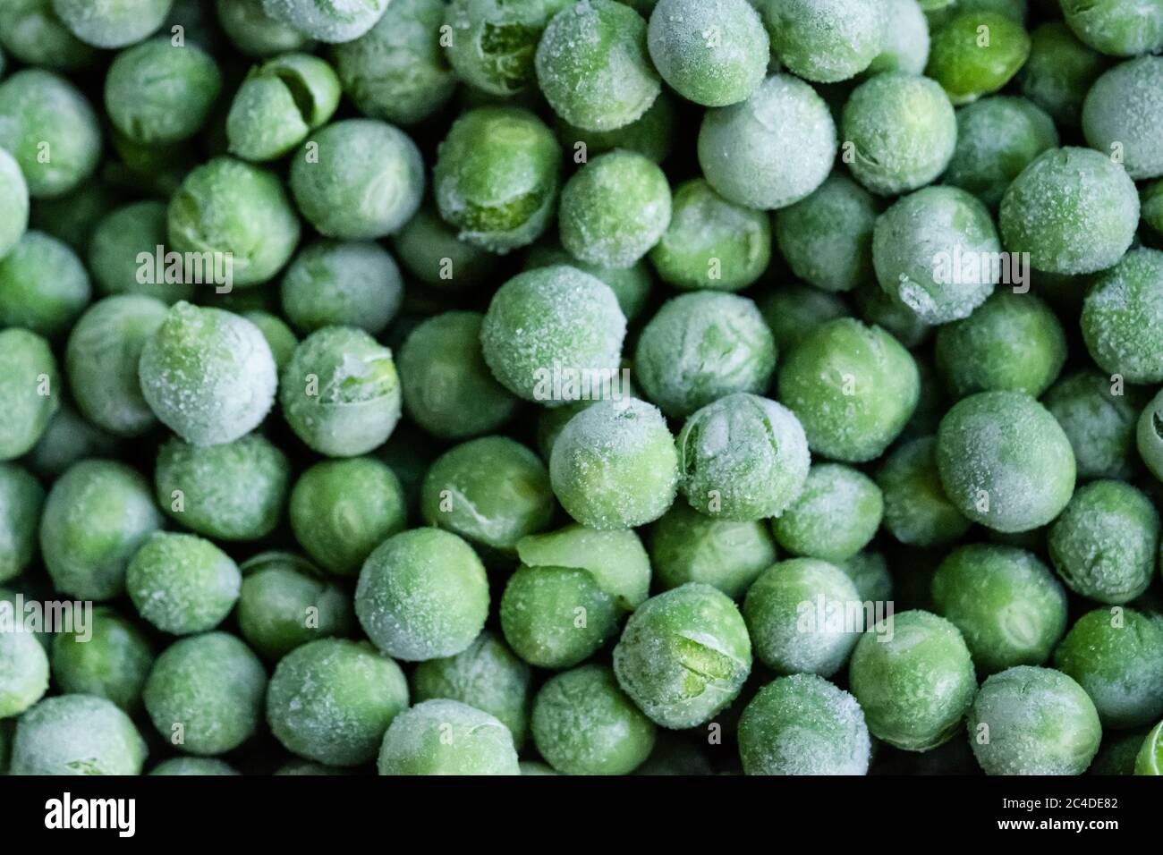 Punto focale basso e dall'alto dei piselli da giardino appena raccolti, congelati una volta prelevati. Visto rimosso da un congelatore, pronto per essere imballato e venduto. Foto Stock