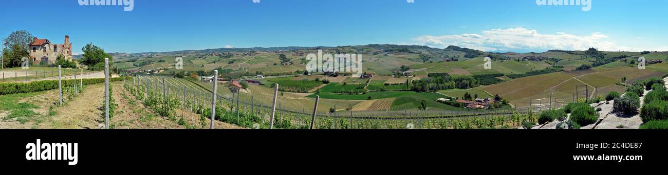 Vigneti di Alba, Langhe e Roero Foto Stock