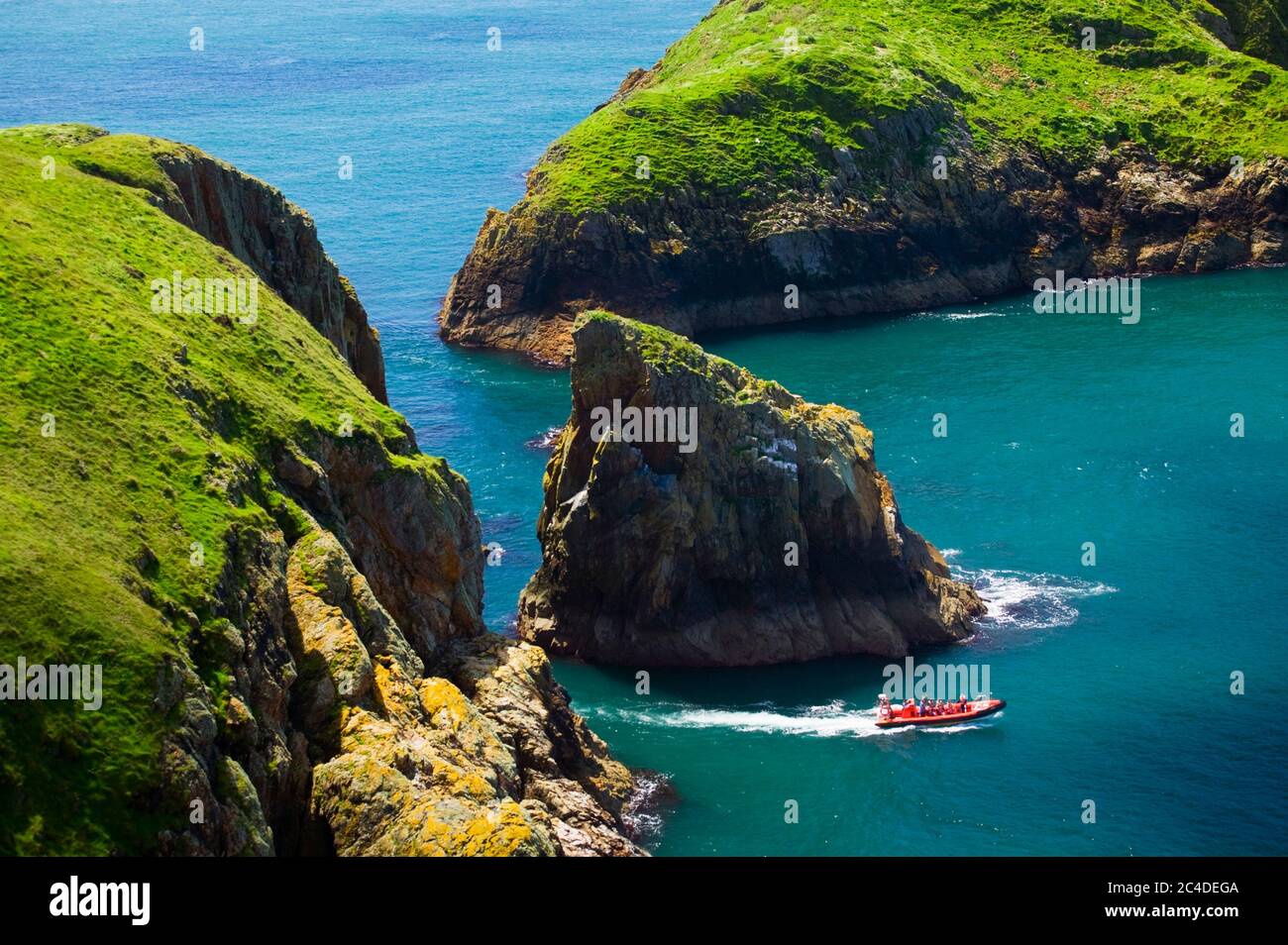 Gita in barca intorno a Ramsey Island St Davids Pembrokeshire Wales Foto Stock