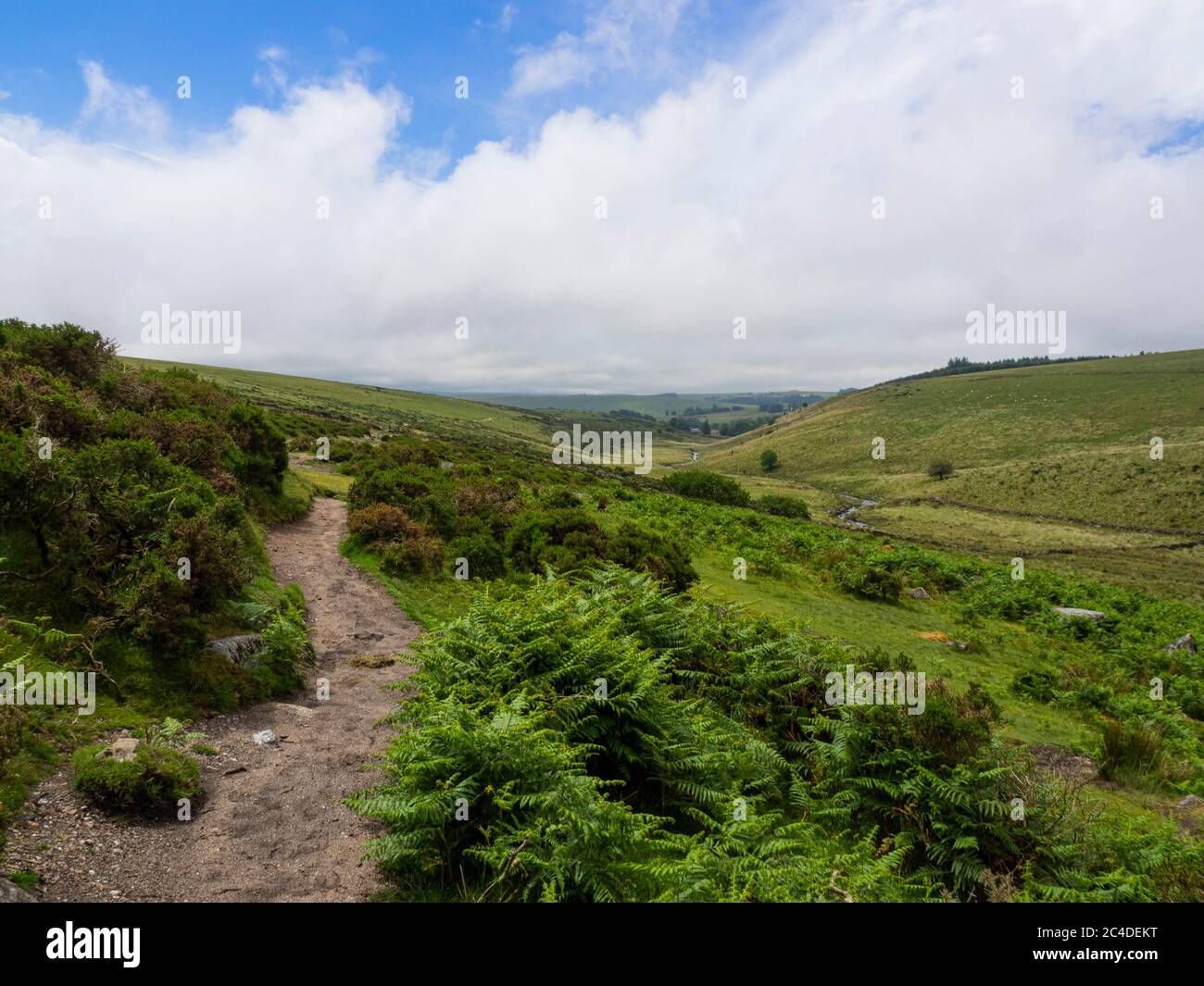 Sentiero che va dal Wistman’s Wood ai due ponti, Dartmoor, Devon, Regno Unito Foto Stock