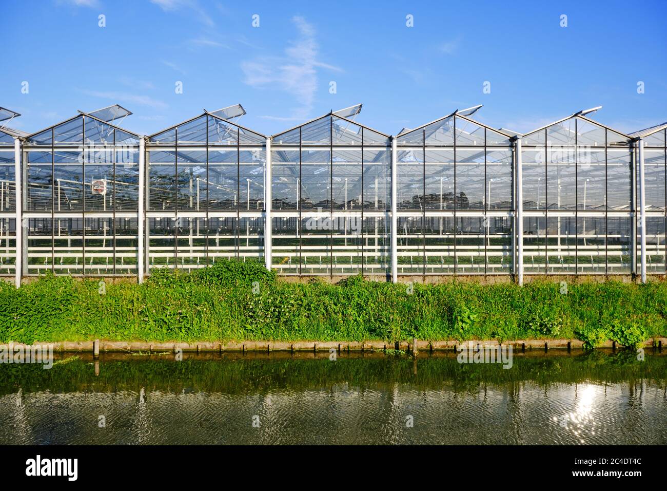 La facciata esterna in vetro della serra commerciale con canale d'acqua. I Paesi Bassi Foto Stock