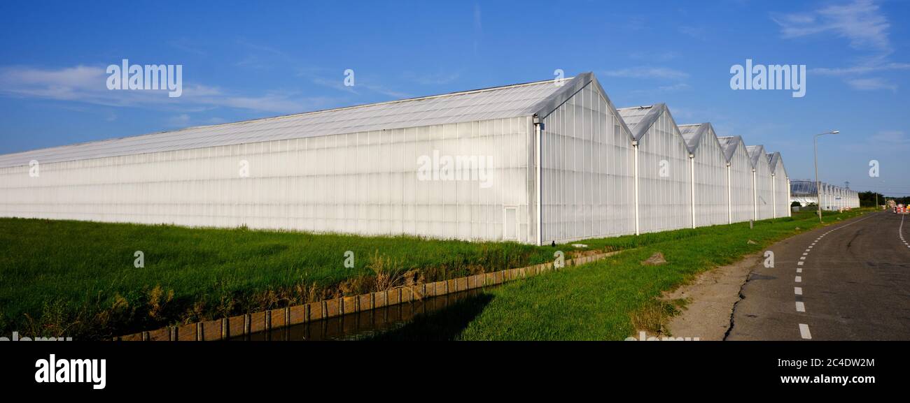 La facciata esterna in vetro serra imbiancato di serra commerciale accanto alla strada. I Paesi Bassi Foto Stock