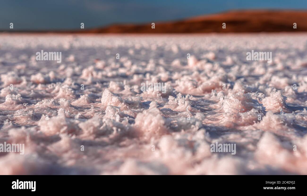 sale rosa cristales. Naturale rosa sale lago struttura. Foto Stock