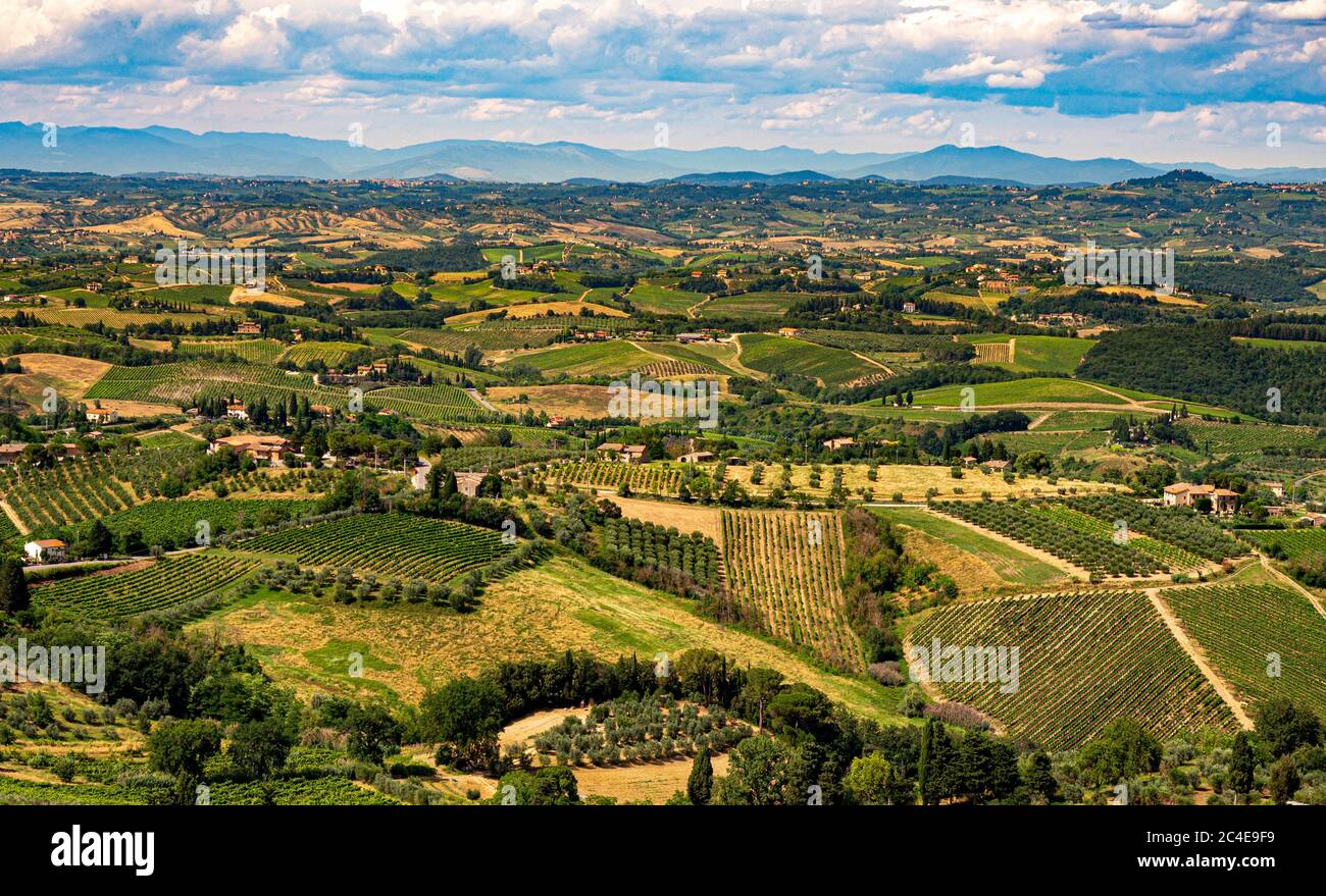 Vista aerea dei vigneti di San Gimignano, Toscana, Italia. Foto Stock