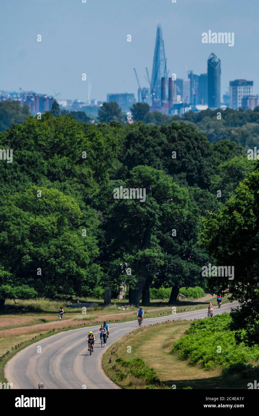 Londra, Regno Unito. 26 Giugno 2020. Godendo il sole e lo spazio nel parco di Richmond in un'altra giornata calda. Il parco è stato riaperto ai ciclisti (il pubblico durante la settimana e i lavoratori chiave solo nei fine settimana). È inoltre chiuso ai veicoli che non sono parcheggianti. Il "blocco" continua ad essere attenuato per l'epidemia di Coronavirus (Covid 19) a Londra. Credit: Guy Bell/Alamy Live News Foto Stock