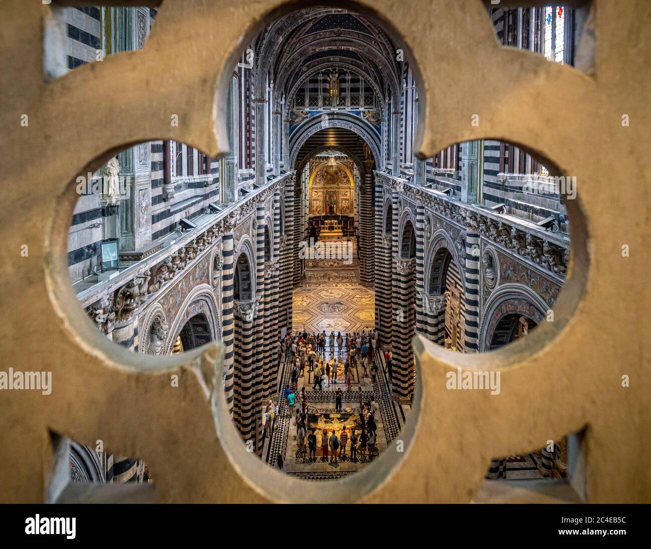 Vista in alto della navata e dell'altare, sparato attraverso una balaustra di pietra, Cattedrale di Siena, Italia. Foto Stock
