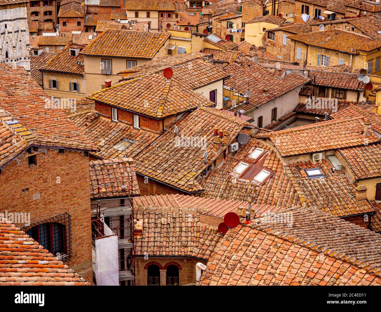 Vista elevata sui tetti in terracotta in una zona residenziale di Siena ad alta densità Foto Stock