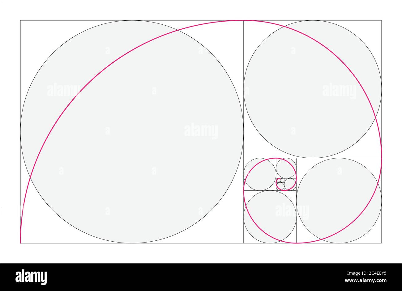 Concetto geometrico del rapporto d'oro. Spirale rosa Fibonacci. Illustrazione vettoriale. Illustrazione Vettoriale