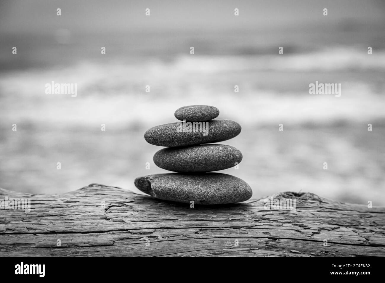 Zen rocce su un tronco di albero caduto, a Ruby spiaggia nello stato di Washington Foto Stock