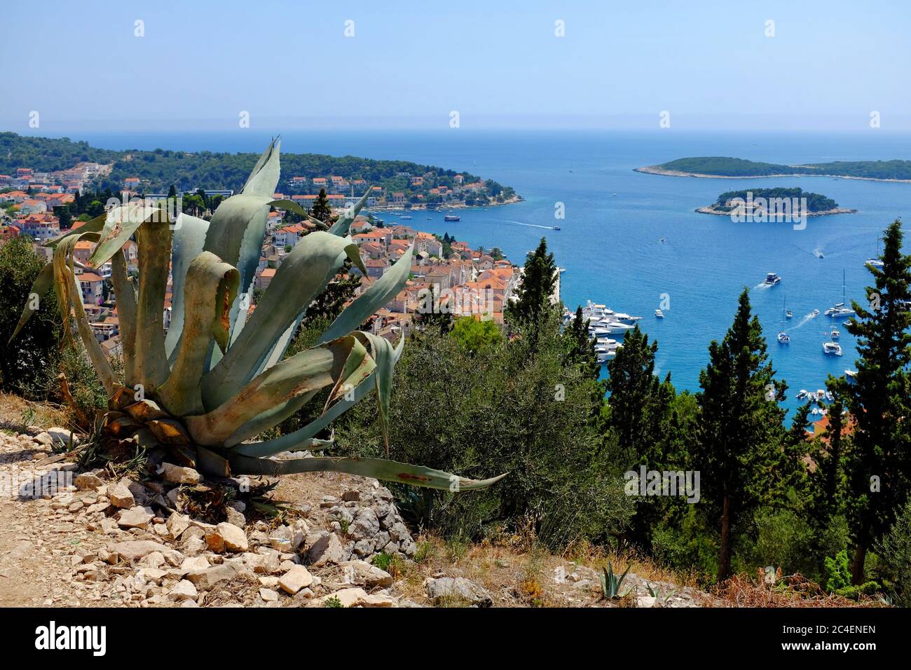 Porto di Hvar dalla Fortezza Spagnola con un'agave in primo piano. Hvar è una delle più popolari destinazioni turistiche della Croazia Foto Stock