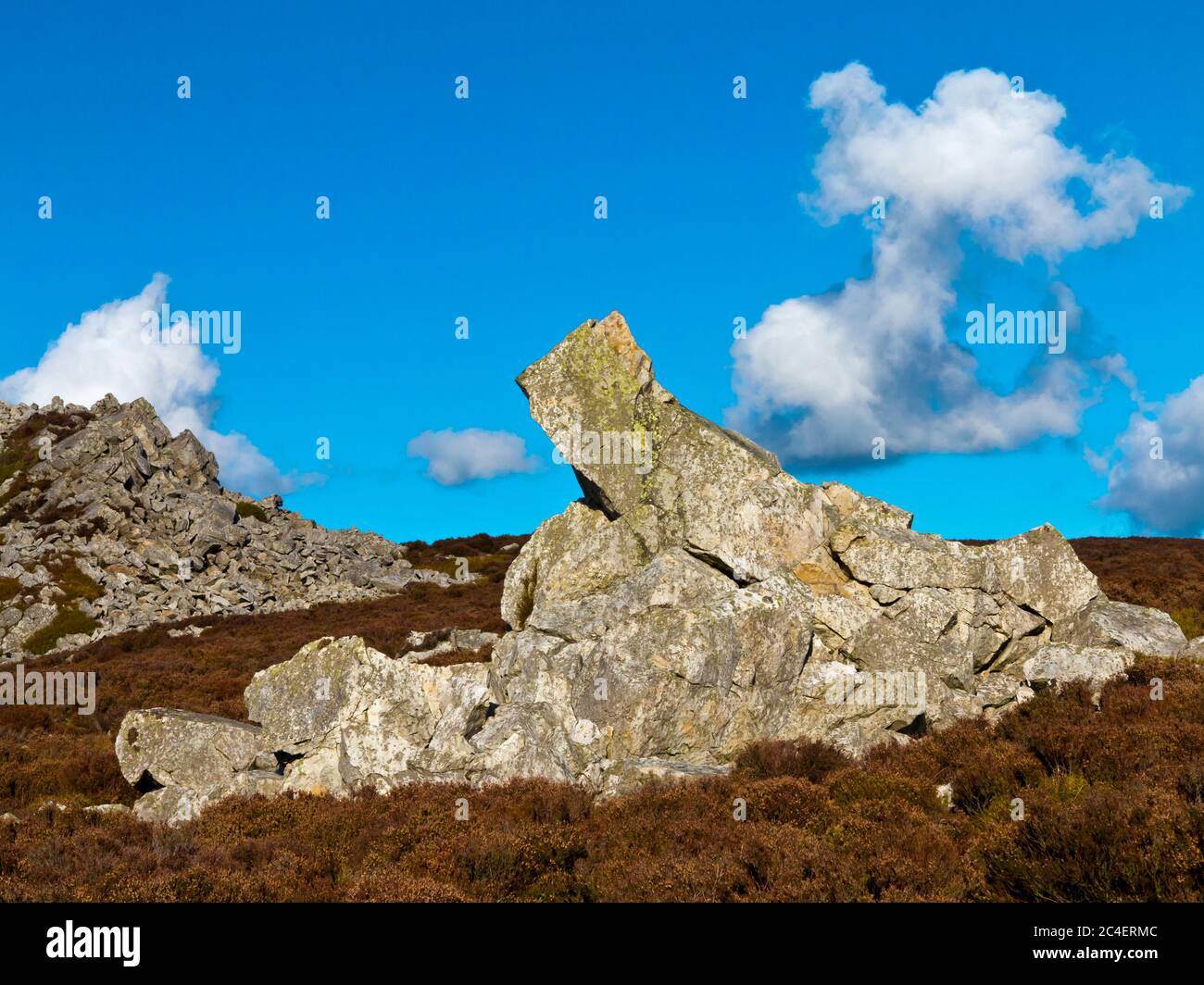 Le formazioni rocciose di Stiperstones nelle colline di Shropshire Inghilterra Regno Unito Foto Stock