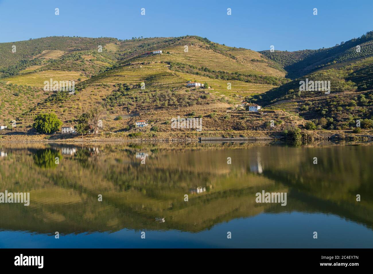 Scenic vista aerea della Valle del Douro e il fiume con i terrazzamenti coltivati a vigneto nei pressi del villaggio di Tua, Portogallo Foto Stock