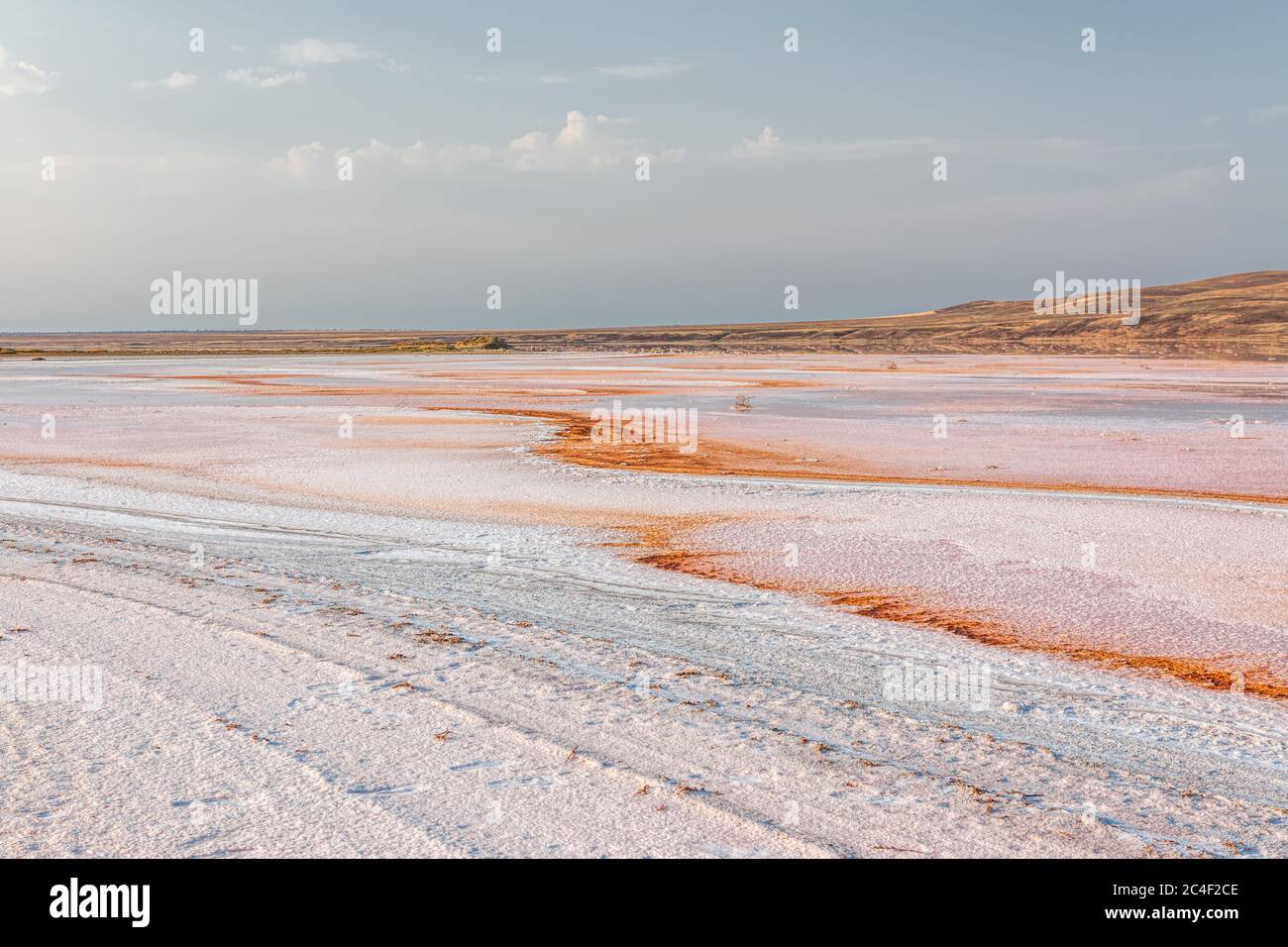 Lago salato rosa Koyash, capo Opuk Kerch Crimea. Lago naturale di sale. Foto Stock