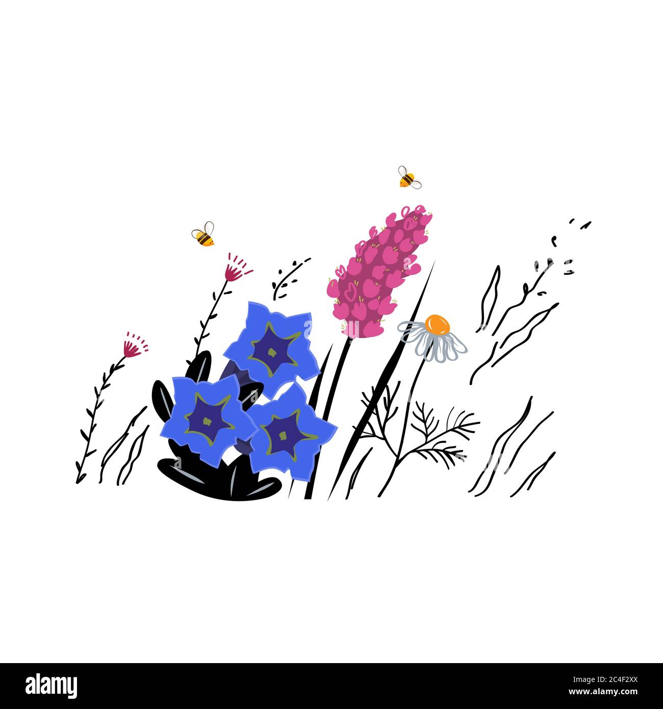Illustrazione dello schizzo vettoriale dei fiori di montagna. Concetto di miele alpino Illustrazione Vettoriale